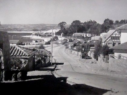 Historia de Algarrobo